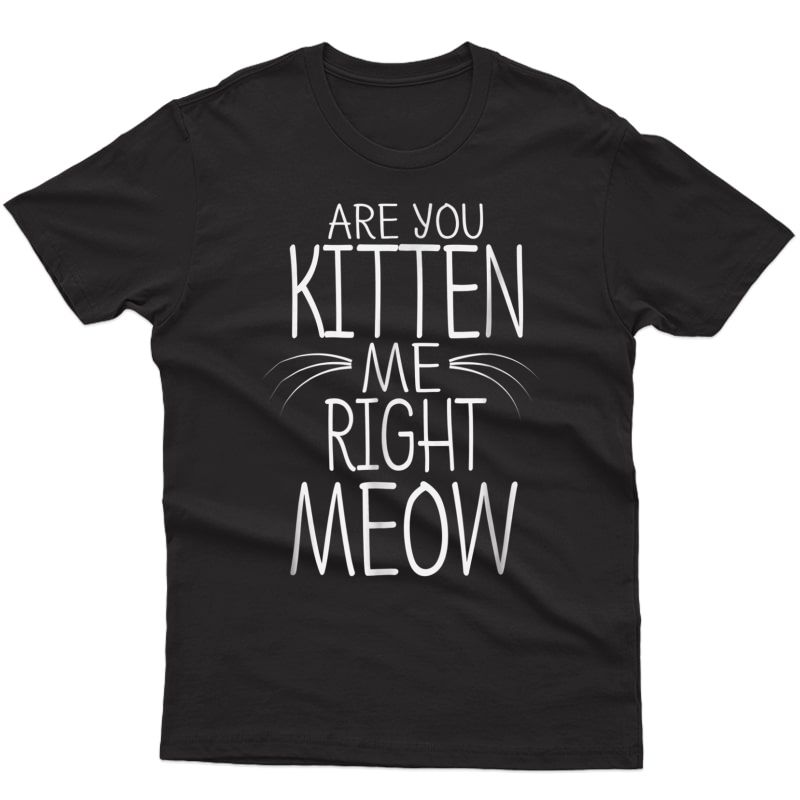 Are You Kitten Me Right Meow T-shirt Funny Cat Joke Tee