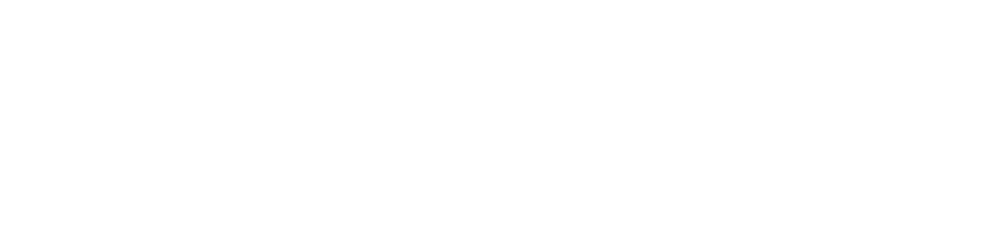 rizitee.com